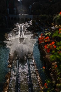 Splash